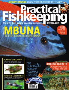 Practical Fishkeeping - 06.2019 Practical Fishkeeping - 06.2019