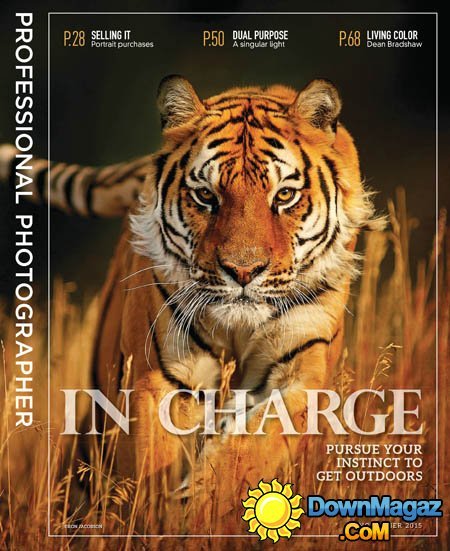 Professional Photographer USA - November 2015