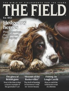 The Field - 03.2018
