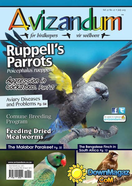 Avizandum South Africa - July 2015 Avizandum South Africa - July 2015