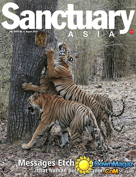 Sanctuary Asia - August 2016 Sanctuary Asia - August 2016