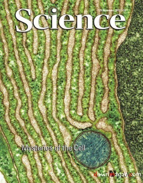 Science - 25 November 2011 Science - 25 November 2011