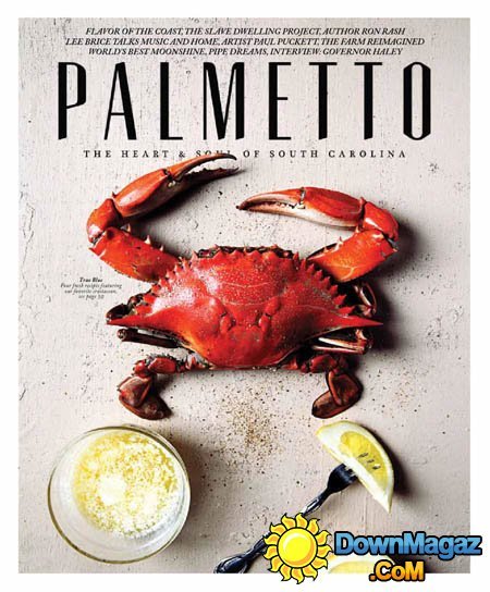 Palmetto USA - Spring/Summer 2015