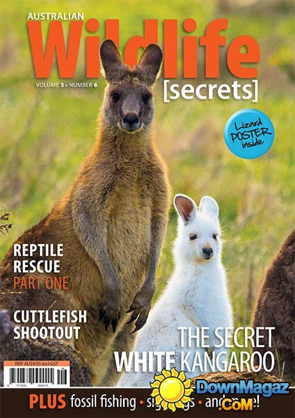 Australian Wildlife Secrets - Vol.3 No.6 Australian Wildlife Secrets - Vol.3 No.6