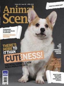Animal Scene - 04.2018 Animal Scene - 04.2018