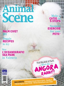 Animal Scene - 03.2018 Animal Scene - 03.2018