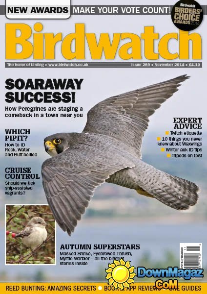 BirdWatch – November 2014
