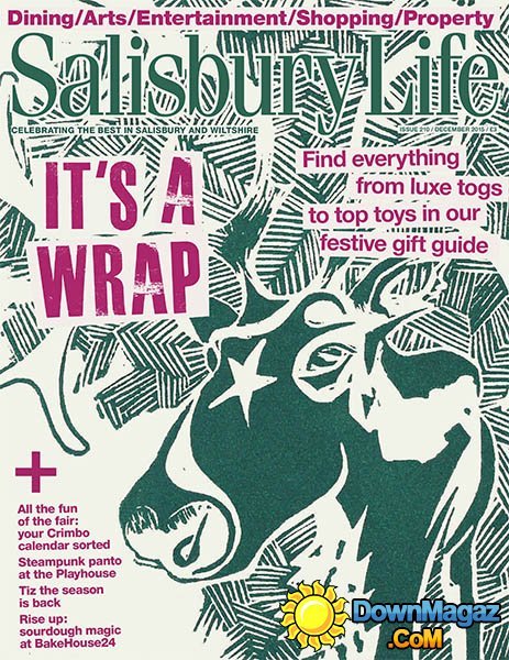 Salisbury Life UK - December 2015 Salisbury Life UK - December 2015