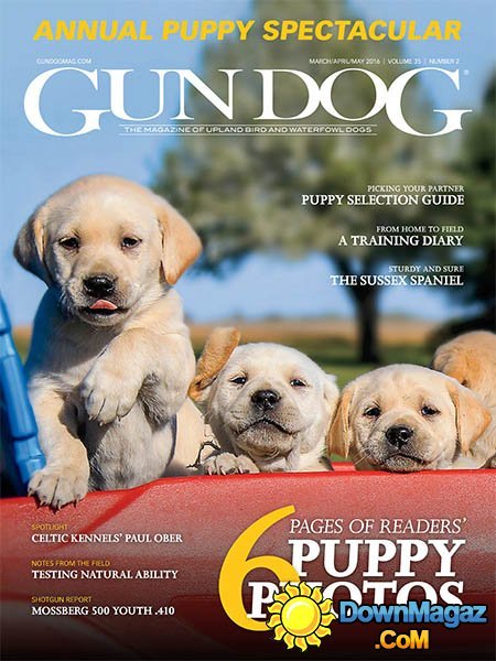 Gun Dog - March - May 2016 Gun Dog - March - May 2016