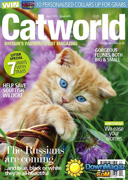 Catworld - April 2015 Catworld - April 2015