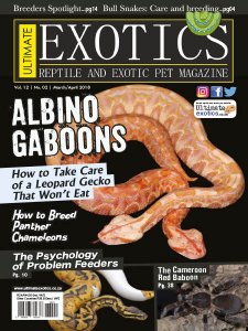 Ultimate Exotics - 03/04 2018 Ultimate Exotics - 03/04 2018