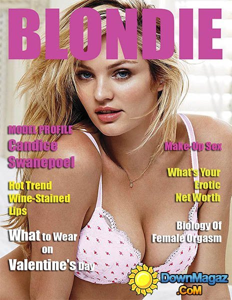Blondie - January 2015