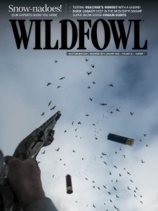 Wildfowl - 12/01 2020 Wildfowl - 12/01 2020