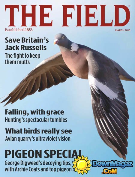 The Field - March 2016 The Field - March 2016