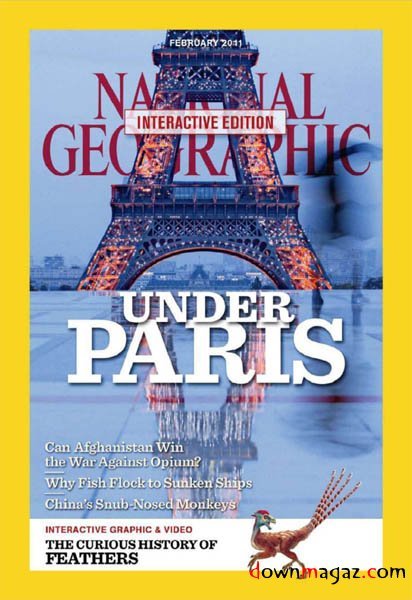 National Geographic Interactive - February 2011 National Geographic Interactive - February 2011