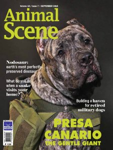 Animal Scene - 09.2018 Animal Scene - 09.2018