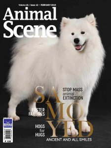 Animal Scene - 02.2019 Animal Scene - 02.2019