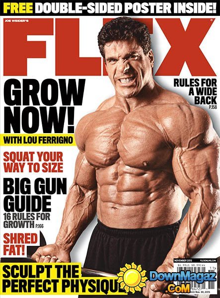 Flex USA - November 2015 Flex USA - November 2015