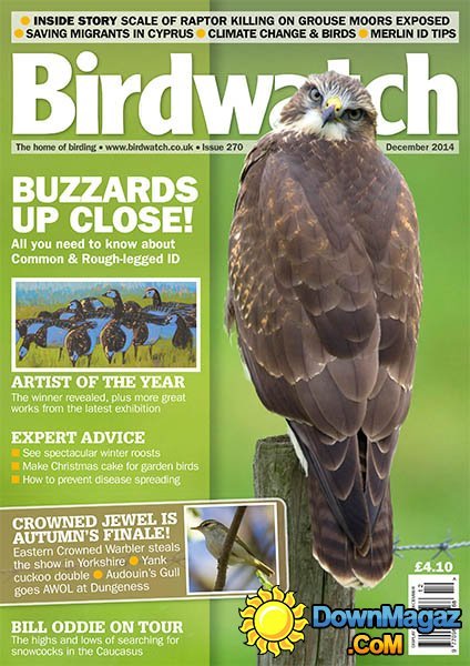 BirdWatch - December 2014