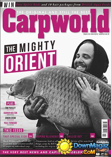 Carpworld - November 2016 Carpworld - November 2016