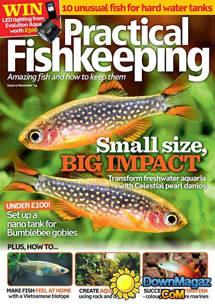 Practical Fishkeeping - November 2014
