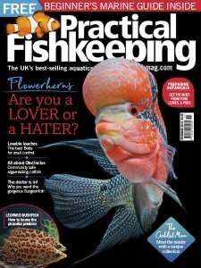 Practical Fishkeeping - 11.2018 Practical Fishkeeping - 11.2018