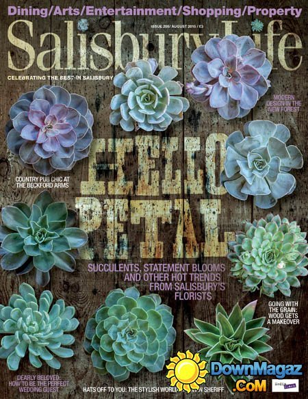 Salisbury Life UK - August 2015 Salisbury Life UK - August 2015