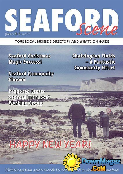 Seaford Scene - January 2015