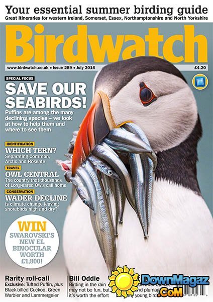 Birdwatch - July 2016 Birdwatch - July 2016
