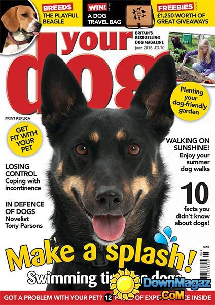 Your Dog - June 2015