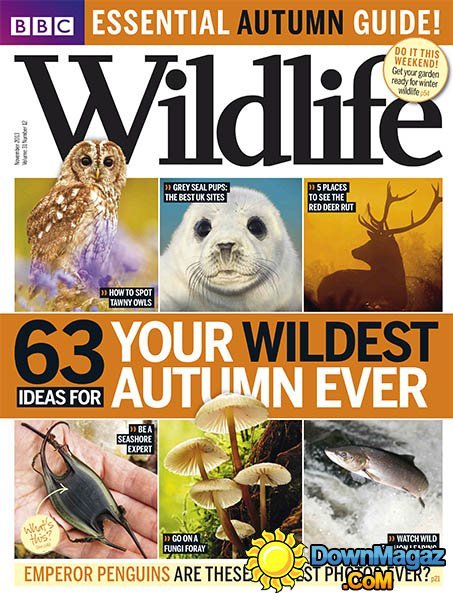 BBC Wildlife - November 2013 BBC Wildlife - November 2013