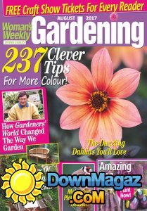 Woman's Weekly Living Series - 08.2017 Woman's Weekly Living Series - 08.2017
