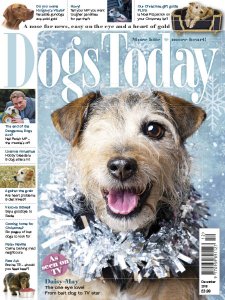 Dogs Today UK - 12.2018 Dogs Today UK - 12.2018