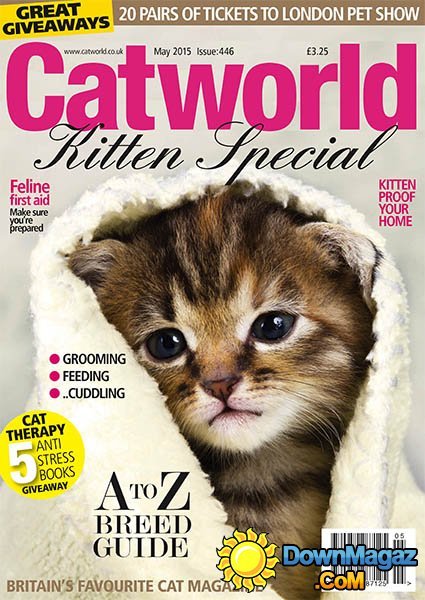 CatWorld - May 2015 CatWorld - May 2015