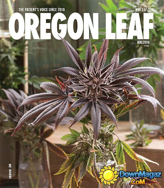 Oregon Leaf - August 2016