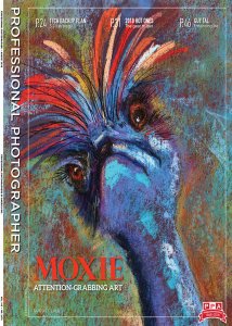 Professional Photographer - 08.2018 Professional Photographer - 08.2018