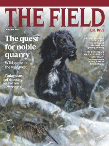 The Field - 01.2020 The Field - 01.2020