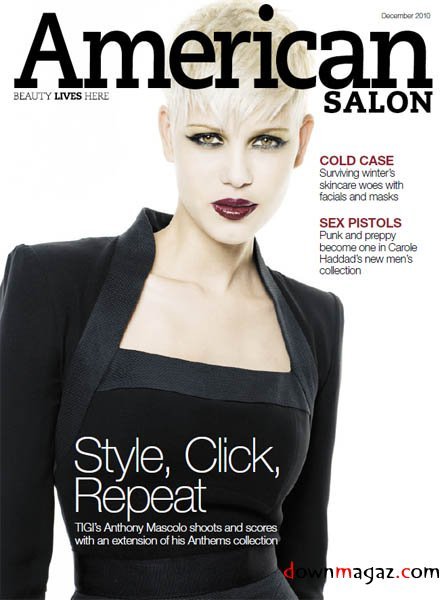 American Salon - December 2010 American Salon - December 2010