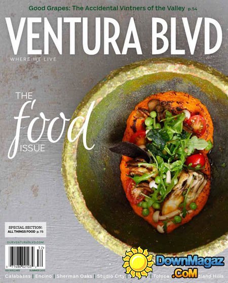 Ventura Blvd USA - Summer 2015 Ventura Blvd USA - Summer 2015