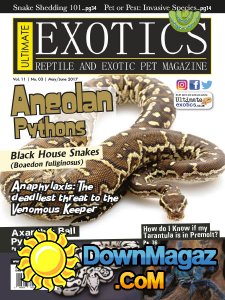 Ultimate Exotics - 05/06 2017 Ultimate Exotics - 05/06 2017