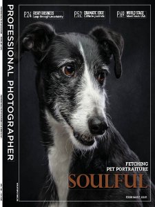 Professional Photographer - 02.2019 Professional Photographer - 02.2019