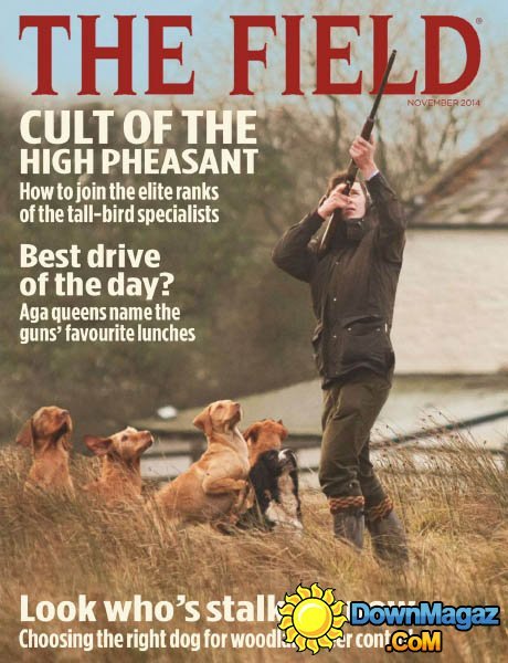 The Field UK - November 2014 The Field UK - November 2014