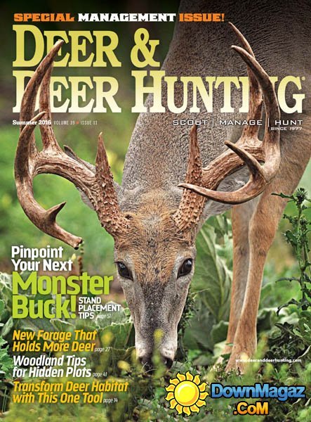 Deer & Deer Hunting - Summer 2016