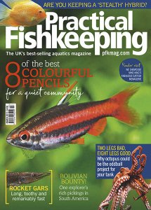 Practical Fishkeeping - 03.2019 Practical Fishkeeping - 03.2019