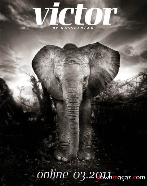 Victor by Hasselblad - March 2011 Victor by Hasselblad - March 2011