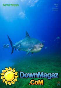 Underwater Photography - 07/08 2017 Underwater Photography - 07/08 2017