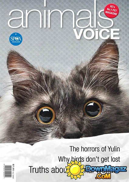 Animals' Voice - Spring 2016 Animals' Voice - Spring 2016