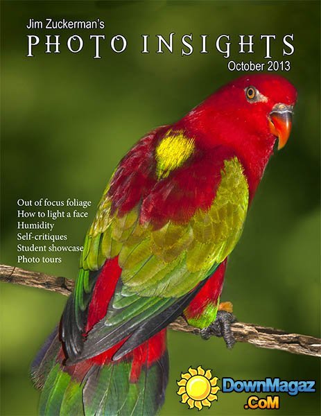 Photo Insights - October 2013