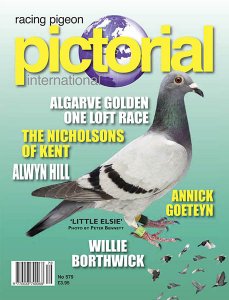 Racing Pigeon Pictorial International - 11.2018