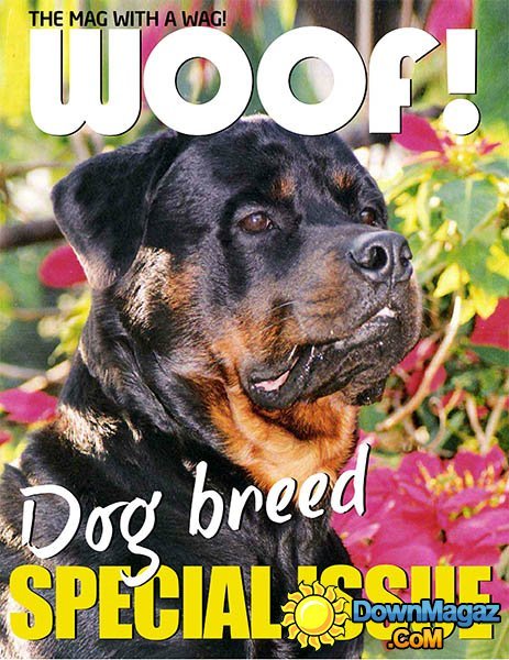 Woof! - July 2013 Woof! - July 2013